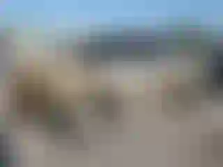 Vehicle Image- 2004 Toyota Tundra