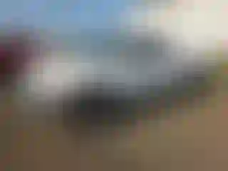 Vehicle Image- 2001 Toyota Tundra