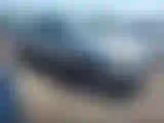 Vehicle Image- 2002 Toyota Tundra