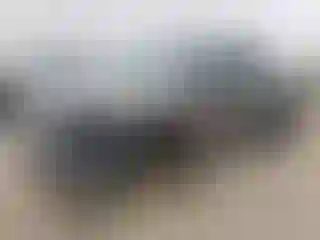 Vehicle Image- 2003 Toyota Tundra