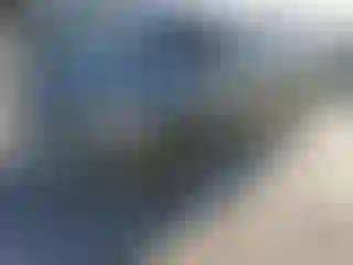 Vehicle Image- 2003 Toyota Tundra