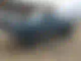 Vehicle Image- 2000 Toyota Tundra