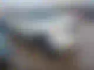 Vehicle Image- 2003 Toyota Tundra