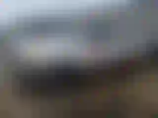 Vehicle Image- 2002 Toyota Tundra