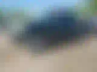 Vehicle Image- 2003 Toyota Tundra