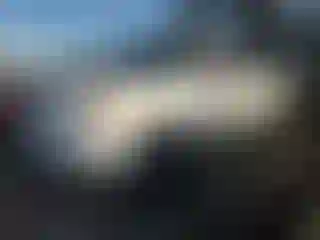 Vehicle Image- 2006 Toyota Tundra