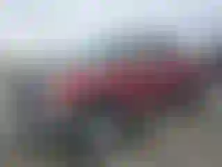 Vehicle Image- 2001 Toyota Tundra