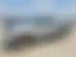 Vehicle Image- 2001 Toyota Tundra