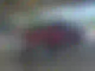 Vehicle Image- 2001 Toyota Tundra
