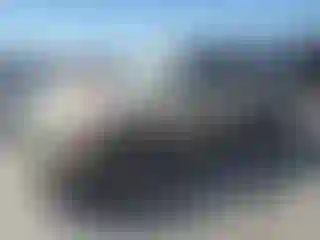 Vehicle Image- 2003 Toyota Tundra