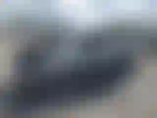 Vehicle Image- 2000 Toyota Tundra
