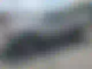 Vehicle Image- 2002 Toyota Tundra