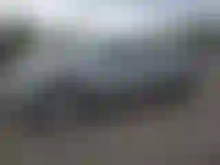 Vehicle Image- 2004 Toyota Tundra
