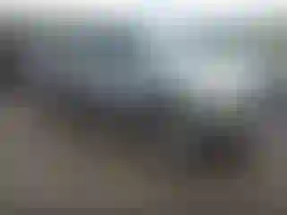 Vehicle Image- 2001 Toyota Tundra