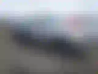 Vehicle Image- 2002 Toyota Tundra