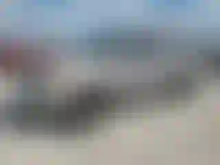 Vehicle Image- 2002 Toyota Tundra
