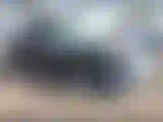 Vehicle Image- 2003 Toyota Tundra