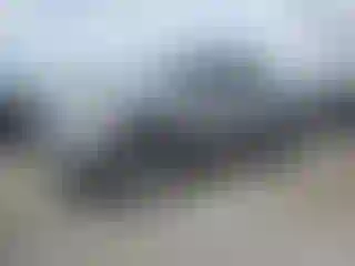 Vehicle Image- 2001 Toyota Tundra