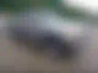 Vehicle Image- 2002 Toyota Tundra