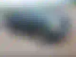 Vehicle Image- 2003 Toyota Tundra