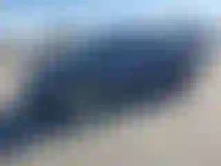 Vehicle Image- 2003 Toyota Tundra