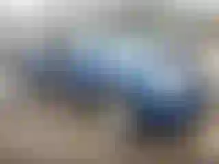 Vehicle Image- 2005 Toyota Tundra
