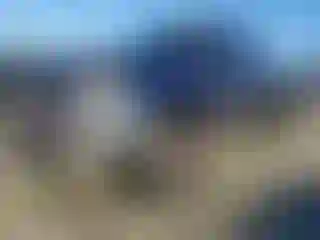 Vehicle Image- 2000 Toyota Tundra
