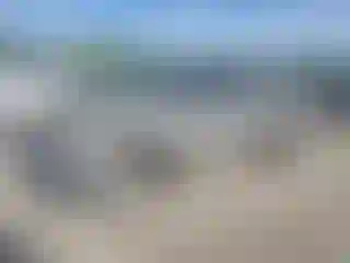 Vehicle Image- 2000 Toyota Tundra