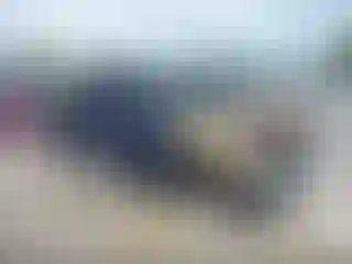 Vehicle Image- 2001 Toyota Tundra