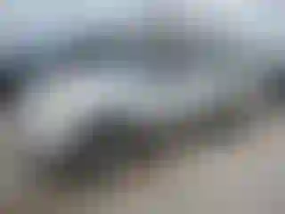 Vehicle Image- 2006 Toyota Tundra