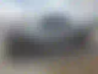 Vehicle Image- 2000 Toyota Tundra