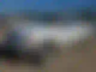 Vehicle Image- 2000 Toyota Tundra