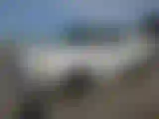 Vehicle Image- 2000 Toyota Tundra