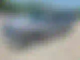 Vehicle Image- 2000 Toyota Tundra