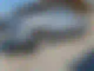 Vehicle Image- 2003 Toyota Tundra