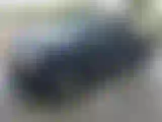 Vehicle Image- 2004 Toyota Tundra