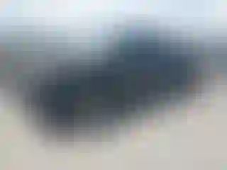 Vehicle Image- 2003 Toyota Tundra