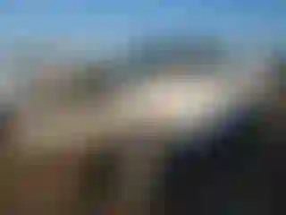Vehicle Image- 2003 Toyota Tundra