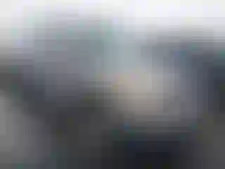 Vehicle Image- 2000 Toyota Tundra