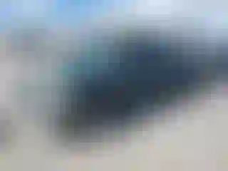 Vehicle Image- 2000 Toyota Tundra