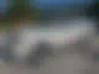 Vehicle Image- 2003 Toyota Tundra