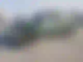 Vehicle Image- 2001 Toyota Tundra