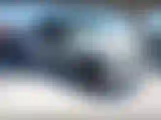 Vehicle Image- 2008 Toyota Tundra