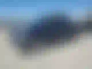 Vehicle Image- 2007 Toyota Tundra