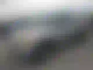 Vehicle Image- 2006 Toyota Tundra