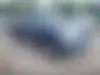 Vehicle Image- 2006 Toyota Tundra