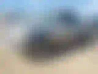 Vehicle Image- 2006 Toyota Tundra