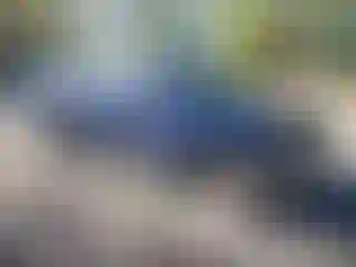 Vehicle Image- 2008 Toyota Tundra