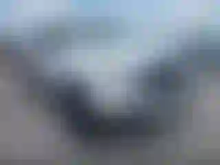 Vehicle Image- 2008 Toyota Tundra
