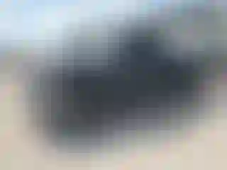 Vehicle Image- 2008 Toyota Tundra